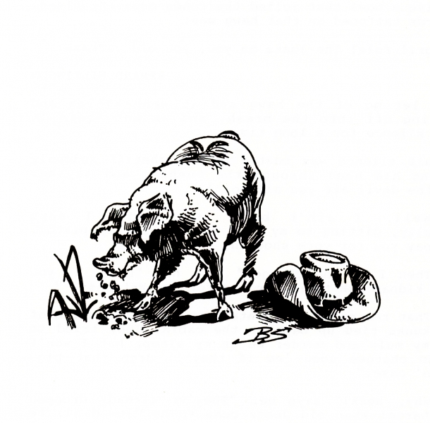 Scan_WotD26