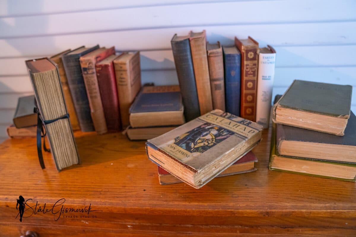 The World of Robert E. Howard
