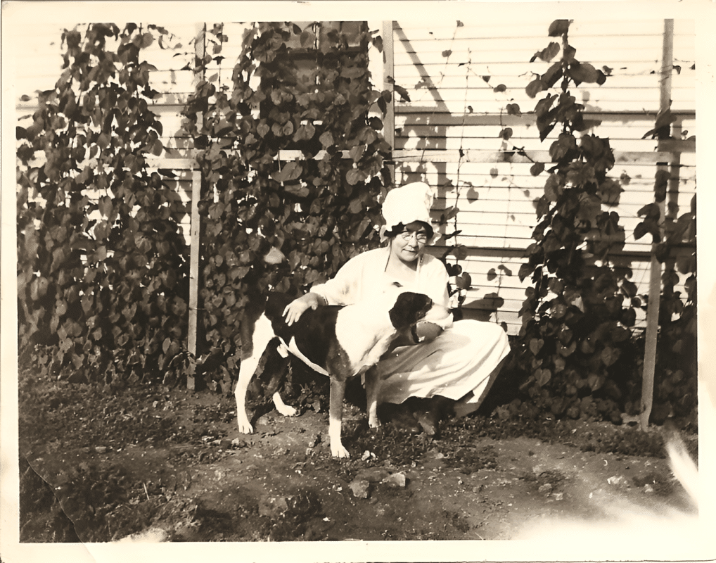 The World of Robert E. Howard