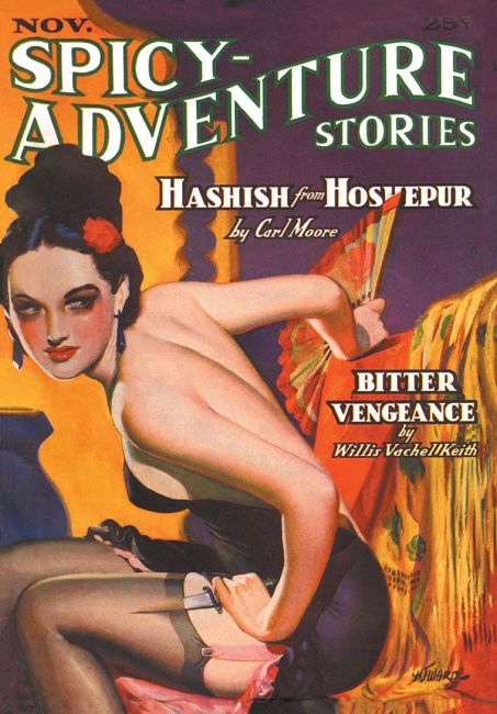 Cover of Spicy-Adventure Stories Volume 5 Number 2