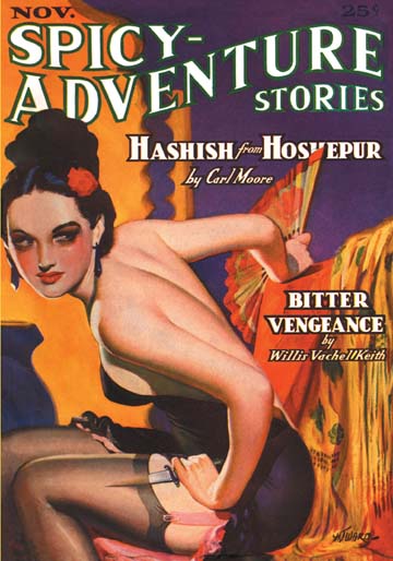 Cover of Spicy-Adventure Stories Volume 5 Number 2